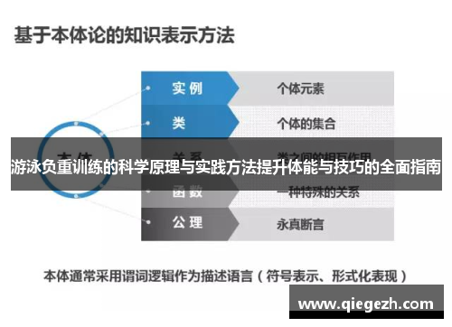 游泳负重训练的科学原理与实践方法提升体能与技巧的全面指南